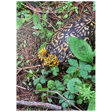 puzzleplate Animal Photography: Turtle Incognito 500 Jigsaw Puzzle