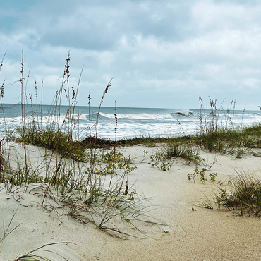 Nature Photography: Island Surf, Hilton Head, South Carolina 500 Jigsaw Puzzle 3D Modell