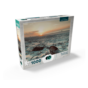 Nature Photography: Sunset Horseshoe Crabs- Hilton Head, South Carolina 1000 Jigsaw Puzzle box view2