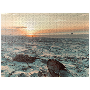 puzzleplate Nature Photography: Sunset Horseshoe Crabs- Hilton Head, South Carolina 1000 Jigsaw Puzzle