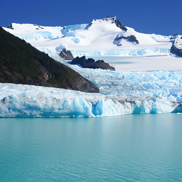 Nature Photography: Winter Majesty 1000 Jigsaw Puzzle 3D Modell