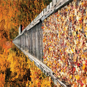 Nature Photography: Autumn Railroad Bridge 1000 Jigsaw Puzzle 3D Modell
