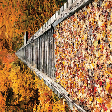 Nature Photography: Autumn Railroad Bridge 500 Jigsaw Puzzle 3D Modell