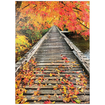 puzzleplate Nature Photography: Crisp Fall Tracks 1000 Jigsaw Puzzle