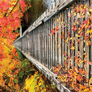 Nature Photography: Crisp Fall Tracks 1000 Jigsaw Puzzle 3D Modell