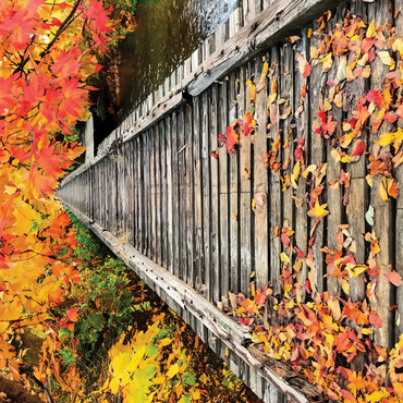Nature Photography: Crisp Fall Tracks 500 Jigsaw Puzzle 3D Modell