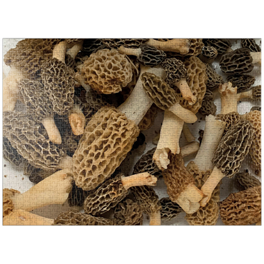 puzzleplate Macro Photography: Wild Morel Mushrooms Collage 1000 Jigsaw Puzzle