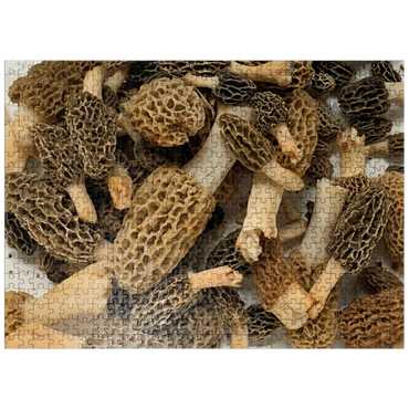 puzzleplate Macro Photography: Wild Morel Mushrooms Collage 500 Jigsaw Puzzle
