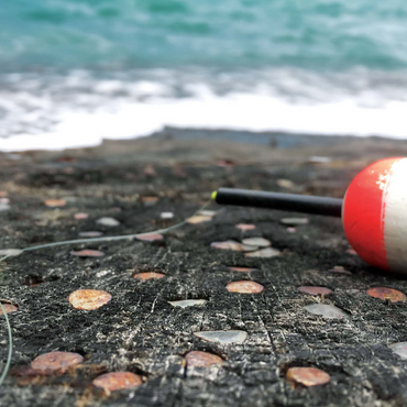 Macro Photography: Ocean Bobber 1000 Jigsaw Puzzle 3D Modell