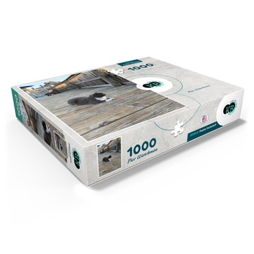 Cat on Deck: Pier Watchman 1000 Jigsaw Puzzle box view1