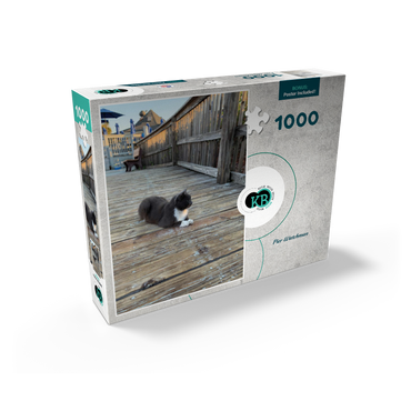Cat on Deck: Pier Watchman 1000 Jigsaw Puzzle box view2