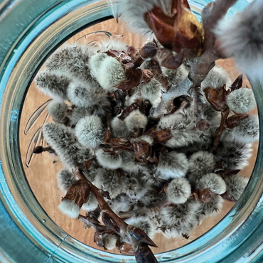 Macro Photography: Pussywillow Branches 500 Jigsaw Puzzle 3D Modell