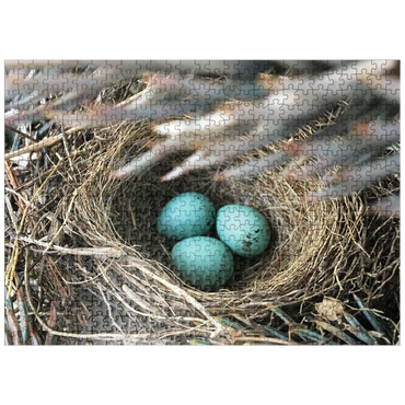 puzzleplate Macro Photography: Robin Eggs Nest in a Pine Tree 500 Jigsaw Puzzle