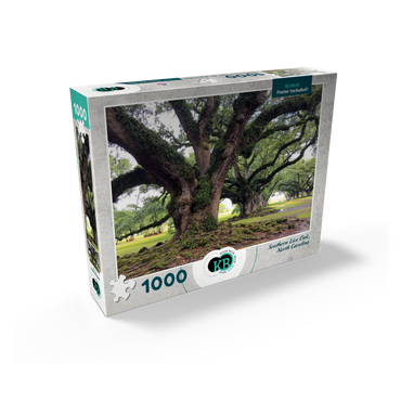 Nature Photography: Southern Live Oak, North Carolina, no.1 1000 Jigsaw Puzzle box view2