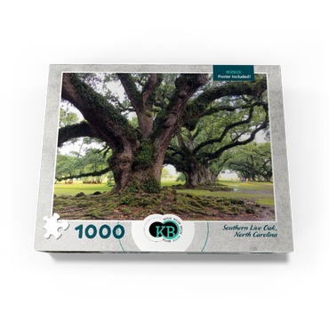 Nature Photography: Southern Live Oak, North Carolina, no.1 1000 Jigsaw Puzzle box view3