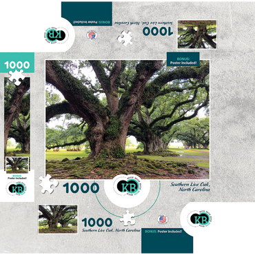 Nature Photography: Southern Live Oak, North Carolina, no.1 1000 Jigsaw Puzzle box 3D Modell