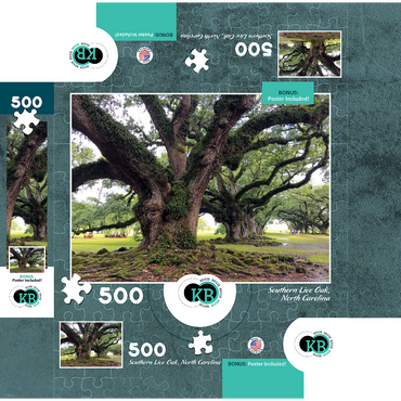 Nature Photography: Southern Live Oak, North Carolina, no.1 500 Jigsaw Puzzle box 3D Modell