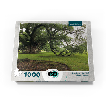 Nature Photography: Southern Live Oak, North Carolina, no.2 1000 Jigsaw Puzzle box view3