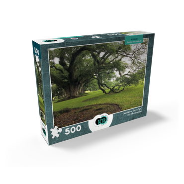 Nature Photography: Southern Live Oak, North Carolina, no.2 500 Jigsaw Puzzle box view2