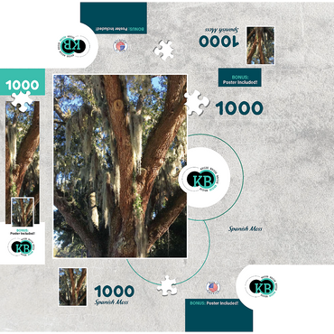 Nature Photography: Southern Trees, Spanish Moss 1000 Jigsaw Puzzle box 3D Modell