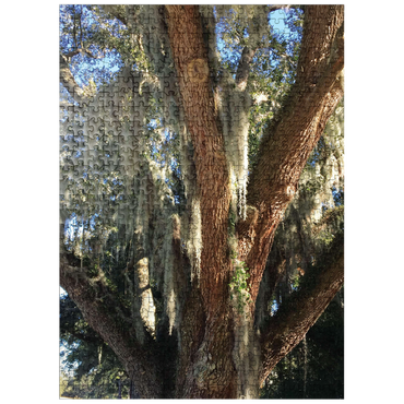 puzzleplate Nature Photography: Southern Trees, Spanish Moss 500 Jigsaw Puzzle