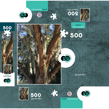 Nature Photography: Southern Trees, Spanish Moss 500 Jigsaw Puzzle box 3D Modell