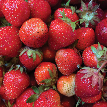 Macro Photography: Strawberries Collage 1000 Jigsaw Puzzle 3D Modell