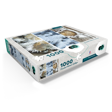 Nature Photography: Frosted Wintery Collage 1000 Jigsaw Puzzle box view1