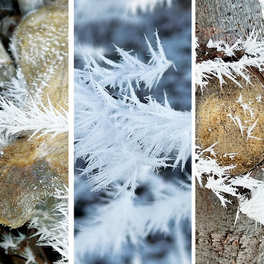 Nature Photography: Frosted Wintery Collage 500 Jigsaw Puzzle 3D Modell
