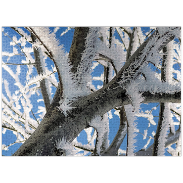 puzzleplate Nature Photography: Frosted Branches, no.2 1000 Jigsaw Puzzle
