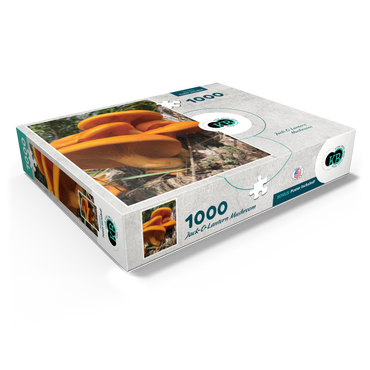 Nature Photography: Jack O Lantern Mushroom 1000 Jigsaw Puzzle box view1