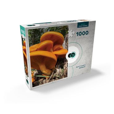 Nature Photography: Jack O Lantern Mushroom 1000 Jigsaw Puzzle box view2