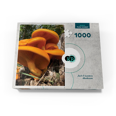 Nature Photography: Jack O Lantern Mushroom 1000 Jigsaw Puzzle box view3