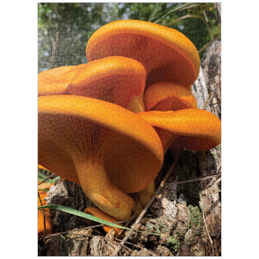 puzzleplate Nature Photography: Jack O Lantern Mushroom 1000 Jigsaw Puzzle