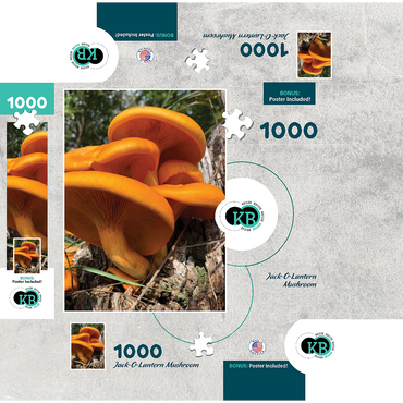 Nature Photography: Jack O Lantern Mushroom 1000 Jigsaw Puzzle box 3D Modell