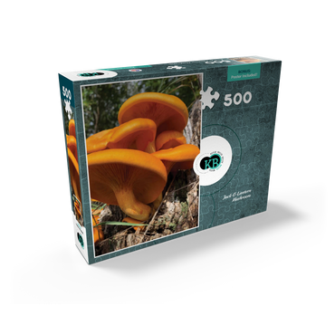 Nature Photography: Jack O Lantern Mushroom 500 Jigsaw Puzzle box view2