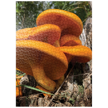 puzzleplate Nature Photography: Jack O Lantern Mushroom 500 Jigsaw Puzzle