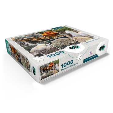 Nature Photography: Mushrooms Collage 1000 Jigsaw Puzzle box view1