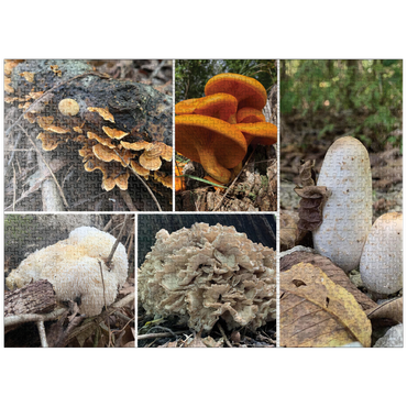 puzzleplate Nature Photography: Mushrooms Collage 1000 Jigsaw Puzzle