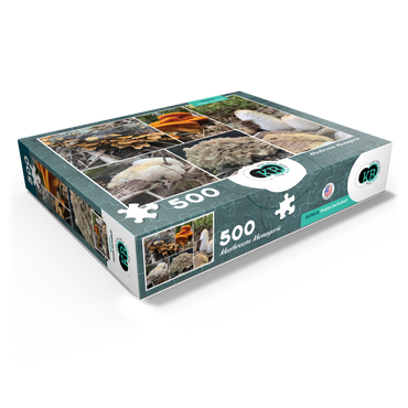 Nature Photography: Mushrooms Collage 500 Jigsaw Puzzle box view1