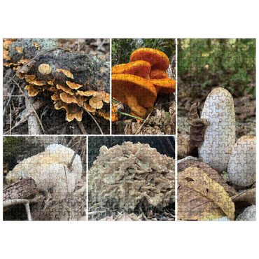 puzzleplate Nature Photography: Mushrooms Collage 500 Jigsaw Puzzle