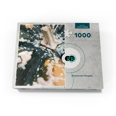 Macro Photography: Ornamental Pumpkin, no.1 1000 Jigsaw Puzzle box view3