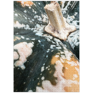 puzzleplate Macro Photography: Ornamental Pumpkin, no.1 1000 Jigsaw Puzzle