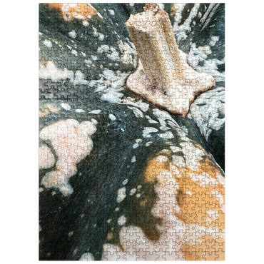 puzzleplate Macro Photography: Ornamental Pumpkin, no.1 500 Jigsaw Puzzle