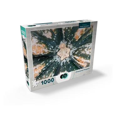 Macro Photography: Ornamental Pumpkin, no.2 1000 Jigsaw Puzzle box view2