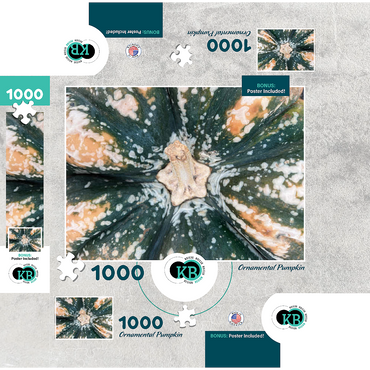 Macro Photography: Ornamental Pumpkin, no.2 1000 Jigsaw Puzzle box 3D Modell