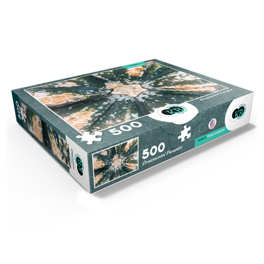 Macro Photography: Ornamental Pumpkin, no.2 500 Jigsaw Puzzle box view1