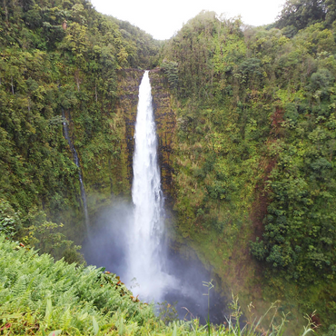 Hawaii, The Big Island: Akaka Falls 1000 Jigsaw Puzzle 3D Modell