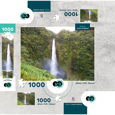Hawaii, The Big Island: Akaka Falls 1000 Jigsaw Puzzle box 3D Modell