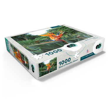 Hawaii, The Big Island: Birds of Paradise Flower 1000 Jigsaw Puzzle box view1